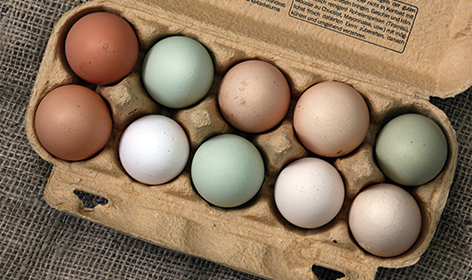 wilkins-fresh-farm-eggs-assorted